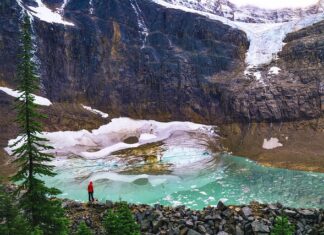 Kiedy wyciągnąć ocieplenie z uli?