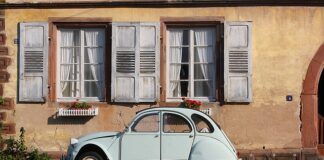 Kto jest właścicielem marki Renault?