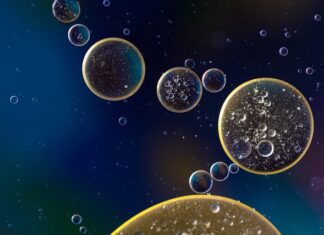 Ile wchodzi oleju do skrzyni biegów Polonez?