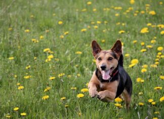 Gdzie Wylewka do wanny?