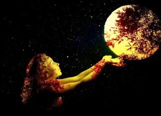 Czy warto kupić KIA Niro?