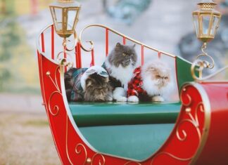 Jak wieszać swetry po praniu?