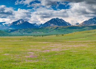 Co oznacza MT na oponie?