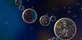 Ile kosztuje wymiana oleju w Porsche Cayenne?