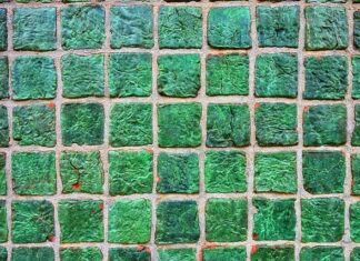 Co zamiast płytek pod prysznicem?