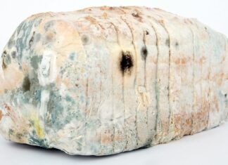 Jak dezynfekować ramki pszczele?