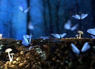 Jak przechowywać drewno na opał?