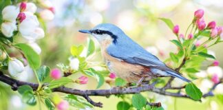 Czy można dołożyć siedzenia do busa?