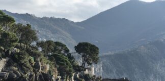 Ile kosztuje ID Buzz?