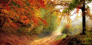 W którym roku poprawiono silnik 1.8 TSI?