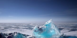 Jakich marek nie ma w Rosji?