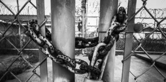 Czy VW T4 ma ocynkowane blachy?