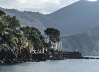 Ile kosztuje 1 cm spawu Migomatem?