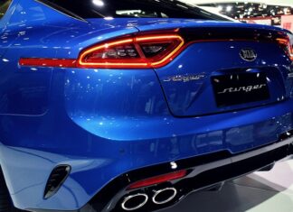 Ile kosztuje 1 Stinger?