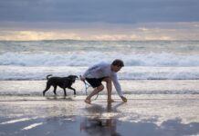 Noclegi z psem w Świnoujściu